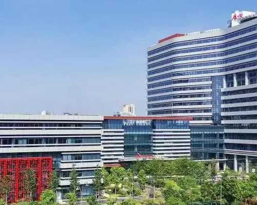 代怀助孕手术所需时间揭秘