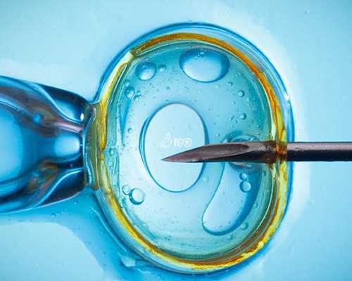 警惕新生儿黄疸过高，可能影响智力与神经系统发育