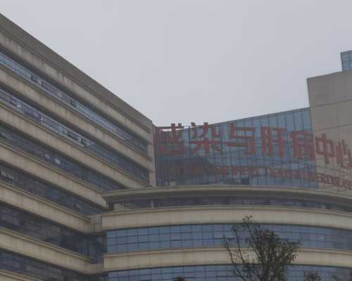 2026年试管助孕费用全解析，家庭生育新希望