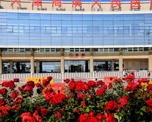 代怀周期解析：从准备到宝宝出生