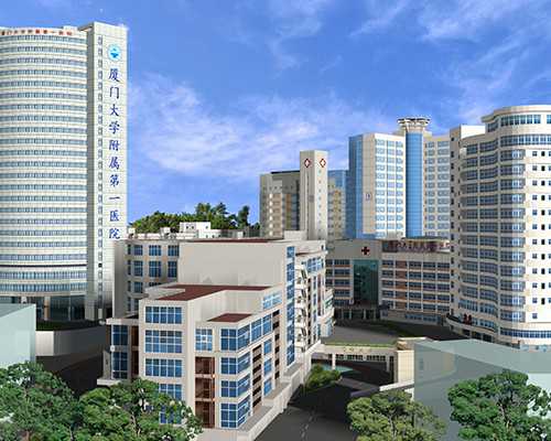 正规试管供卵-备孕能吃生蚝吗 怀孕能吃生蚝吗早期