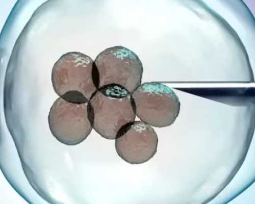 广西助孕婴儿洗澡的禁忌