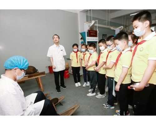 贵阳代怀助孕：供卵移植囊胚数量与成功率考量