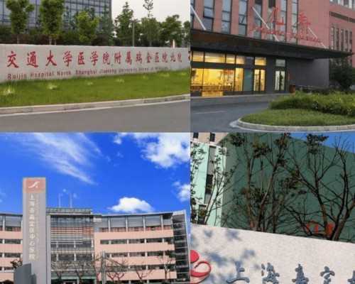 卵巢早衰诊疗专家与辅助生殖机构深度解析