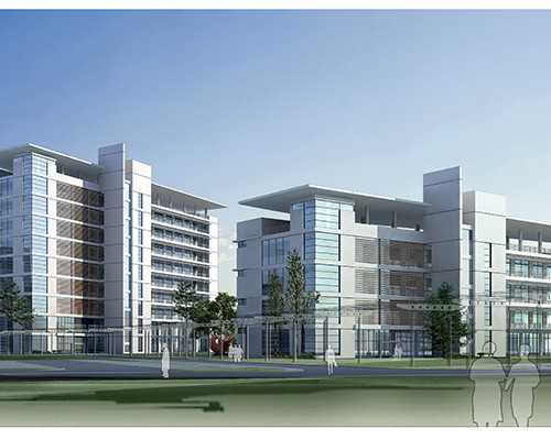 探秘广西助孕婴儿的成长里程：多久可以享受竖抱的温馨时光？