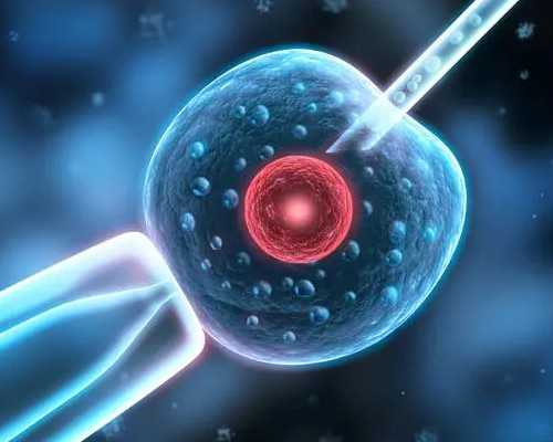 婴儿下巴湿疹的护理与治疗方法