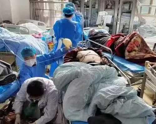 探讨借卵试管生育：高龄妈妈的生育选择与成功率